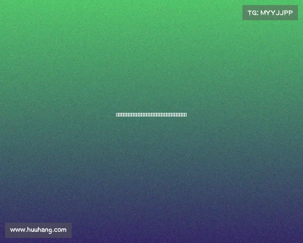 世界散打比赛全球武道巅峰对决：世界散打王者争霸赛激战风云