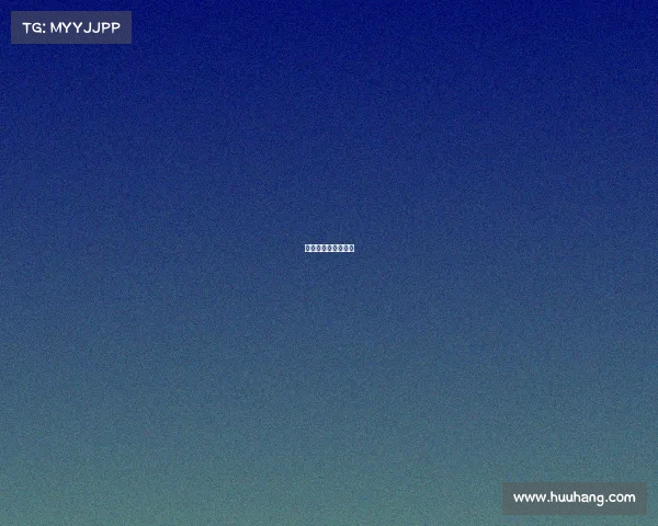 赛事招募内容写什么